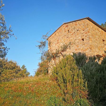 Cottage La Torre Del Pittore Bonassola Kültér fotó