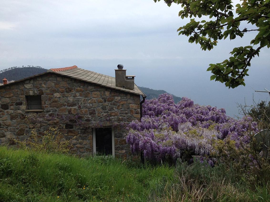 Cottage La Torre Del Pittore Bonassola Kültér fotó