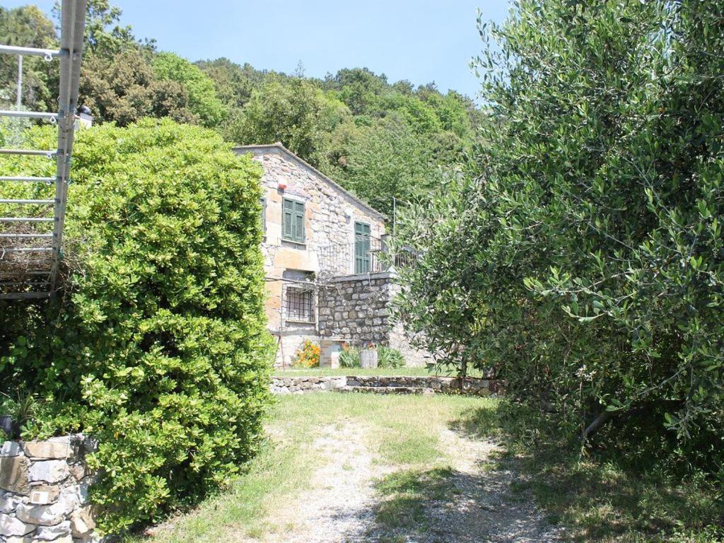 Cottage La Torre Del Pittore Bonassola Kültér fotó
