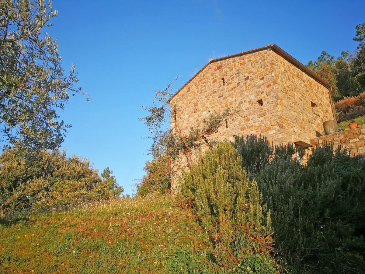 Cottage La Torre Del Pittore Bonassola Kültér fotó